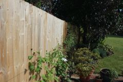 Fencing