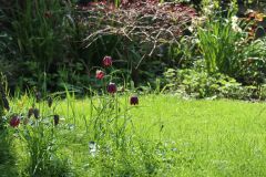 Garden Maintenance