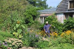 Garden Maintenance