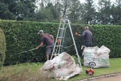 Hedge Cutting