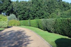 Hedge Cutting