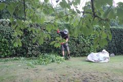 Hedge Cutting