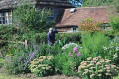 Garden Maintenance