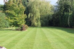 Mowing Services