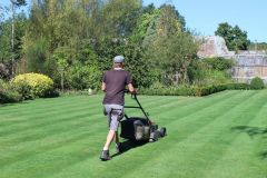 Mowing Services