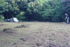 Scarifying