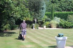 Mowing Services