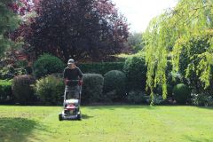 Mowing Services