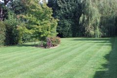 Mowing
