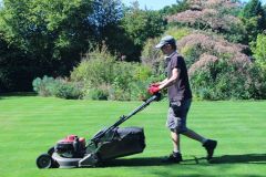 Mowing Services