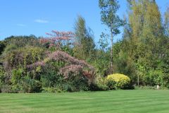 Coles Gardening Services