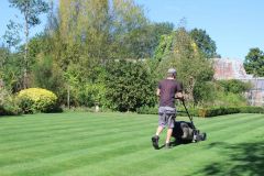 Mowing Services